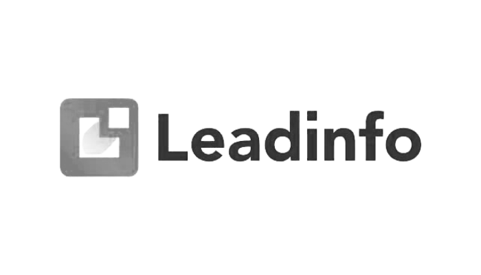 Leadinfo WordPress plugins Motionmill Antwerpen