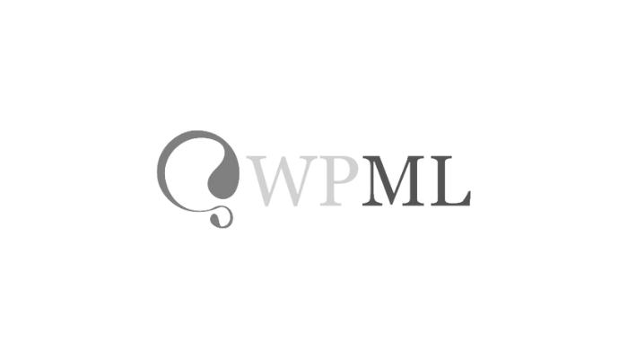 WPML WordPress plugins Motionmill Antwerpen